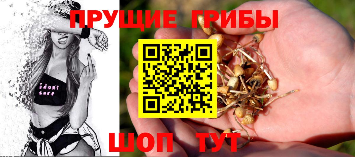 Галлюциногенные грибы GOLDEN TEACHER  Псилоцибиновые грибы Cubensis  Нягань  Вход с VPN 